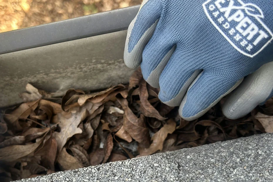 Gutter Cleaning Suncoast Estates