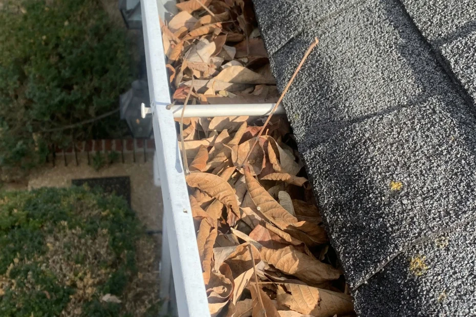 Gutter Cleaning Suncoast Estates