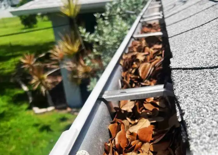 Gutter Cleaning Suncoast Estates home page